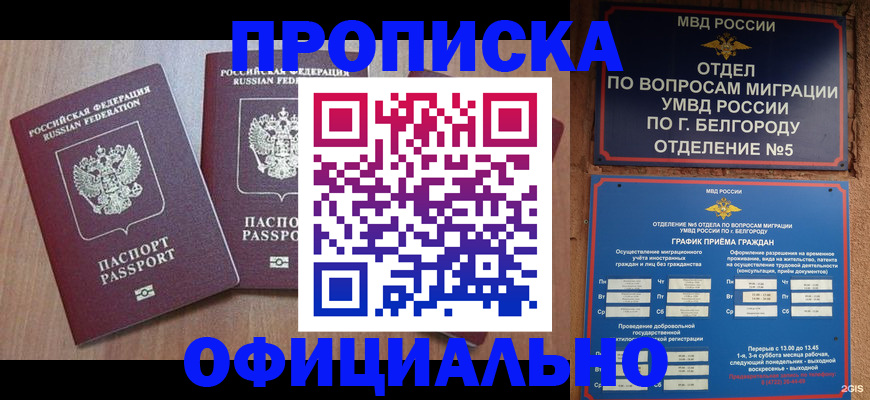 найти адрес прописки в Пласте